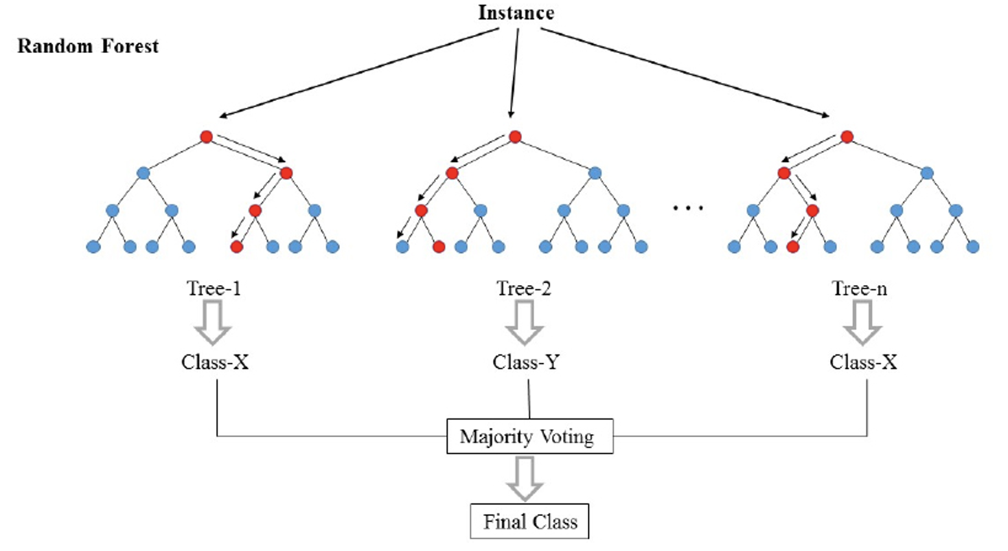 A visual depiction of a random forest. Each tree casts a vote and the majority class is the overall ensemble's prediction